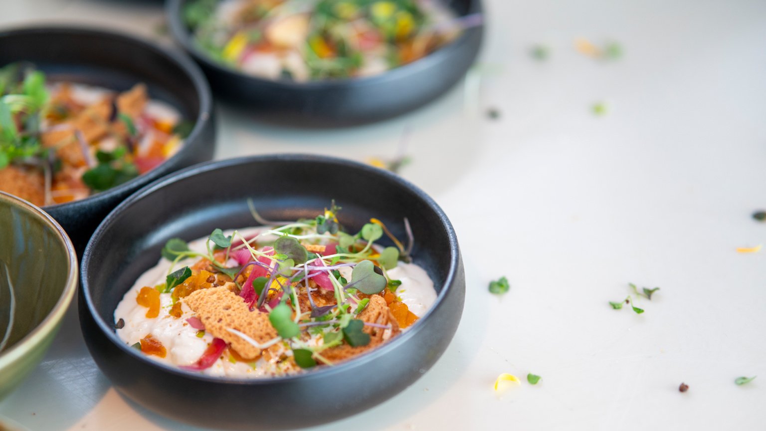 Knowledge Assistant uitgebreid met 4 nieuwe CAO's