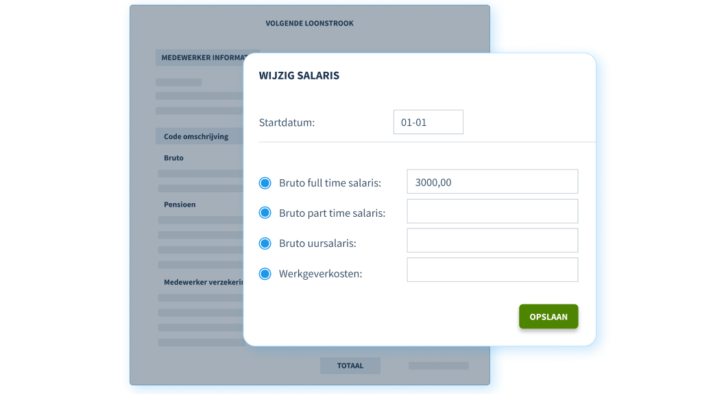 online loonstrook 2025